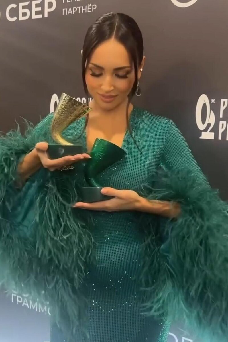    Алсу Социальные сети