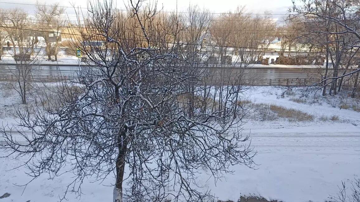     Источник: novostivolgograda.ru