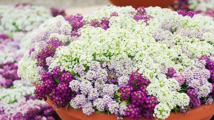 Фото с pinterest.com