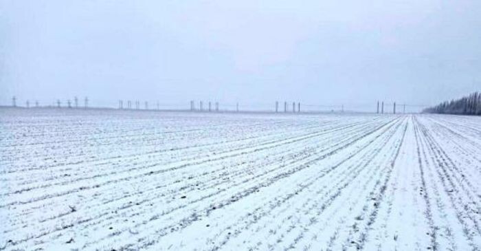 Источник фото: v102.ru