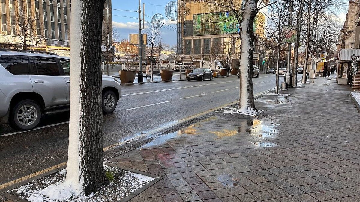    Фото: телеканал «Краснодар»