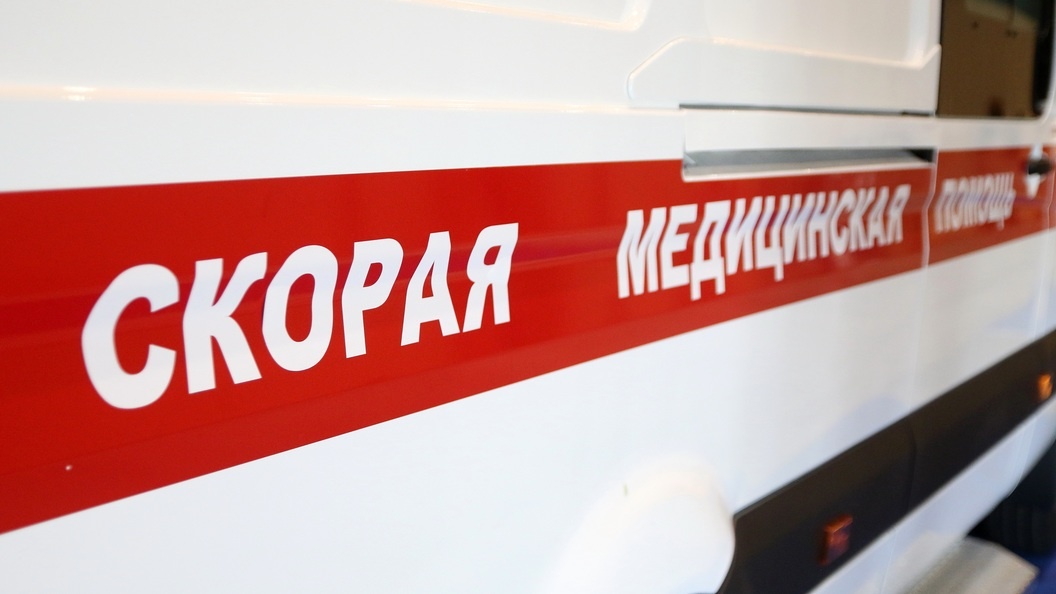    Максим Константинов/Globallookpress