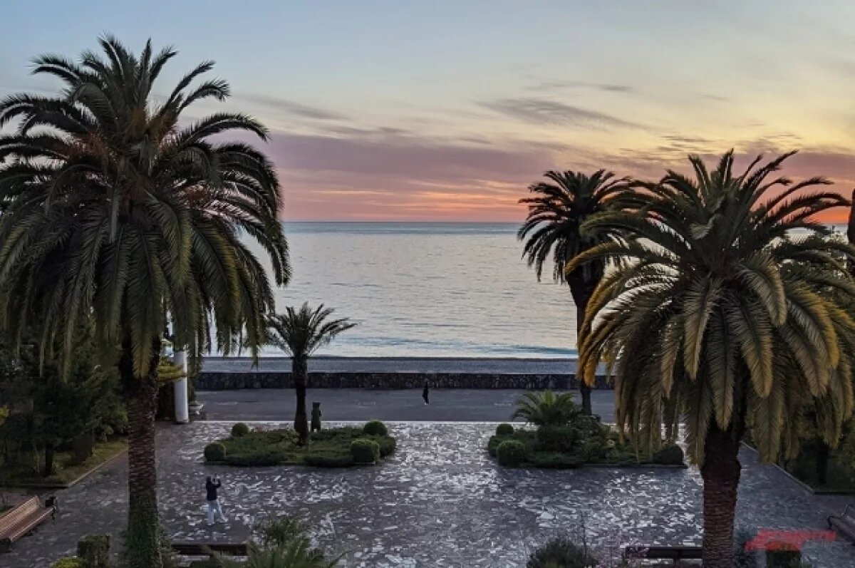    В АТОР уточнили слова вице-президента о «воспитании» абхазского бизнеса