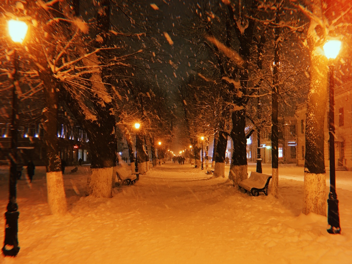    Фото: Новости Владикавказа и Северной Осетии