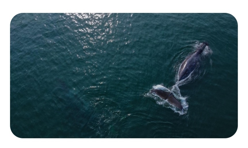 Материал с сайта tutu.ru