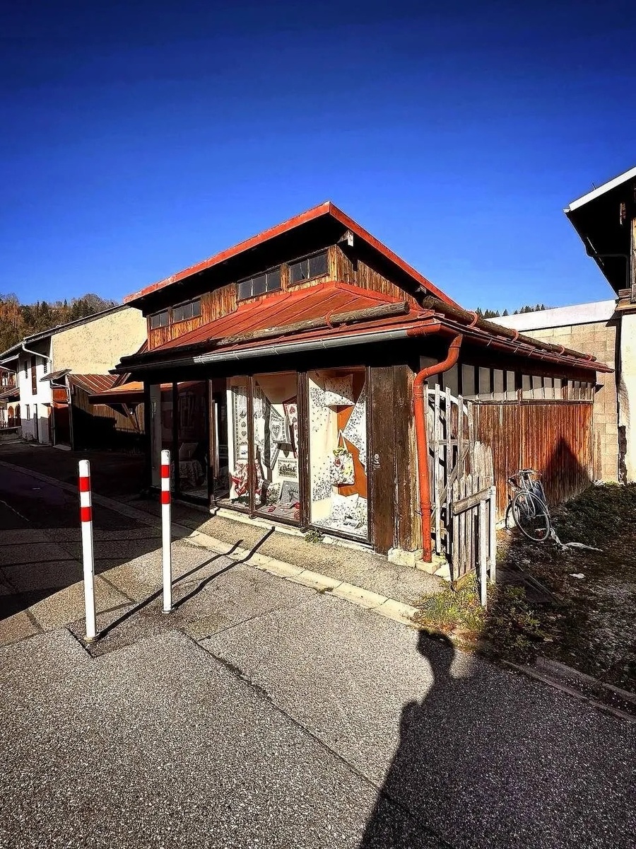 Фото от автора 28.10.24.