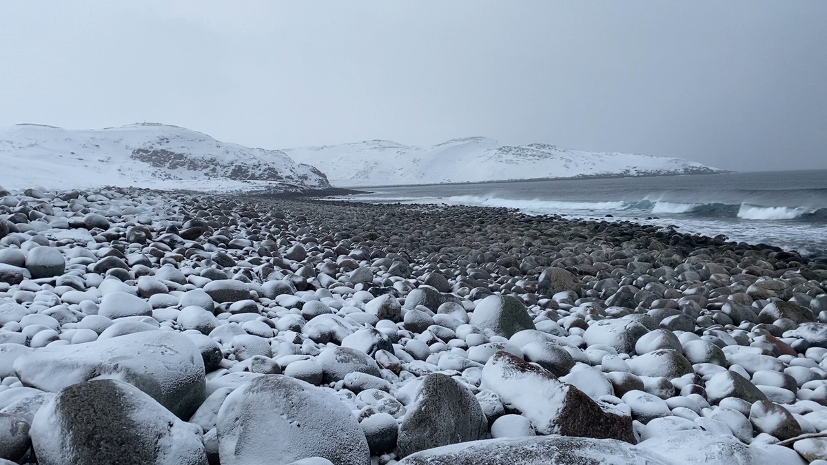 Яйца дракона и Баренцево море