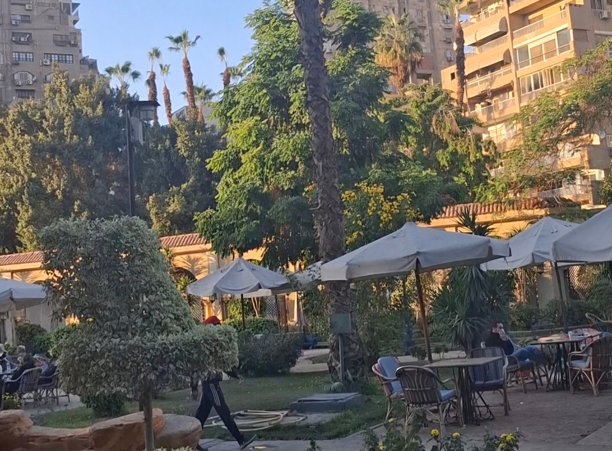 В каирском клубе