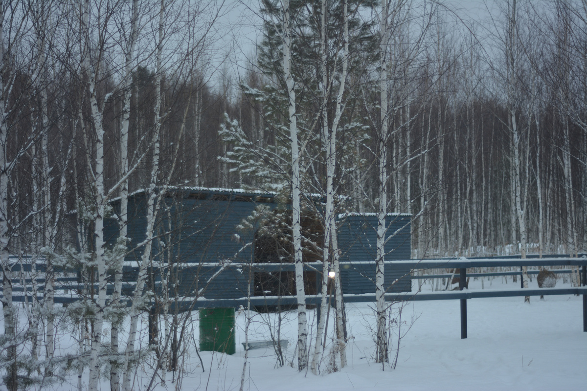 Главная левада для отдыха и водопоя