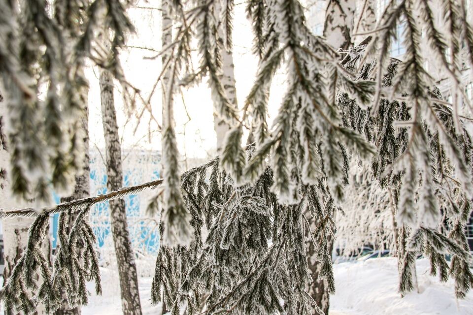    Зима. погода. Снег.. Источник: Виталий Барабаш