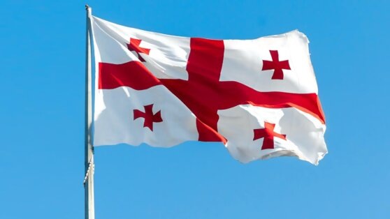    Генсек "Грузинской мечты" извинился перед народом за выдвижение Зурабишвили в 2018 году Егор Гордеев