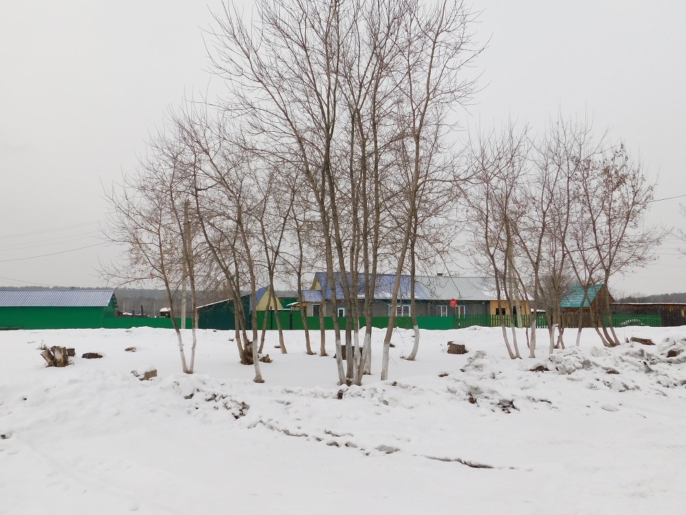    Теплая погода на выходных в Новосибирской области. Фото Анны Зубаревой