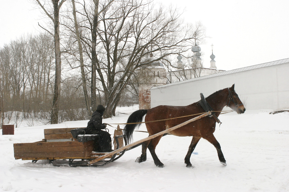 Marina Shimanskaya/Russian Look/Global Look Press