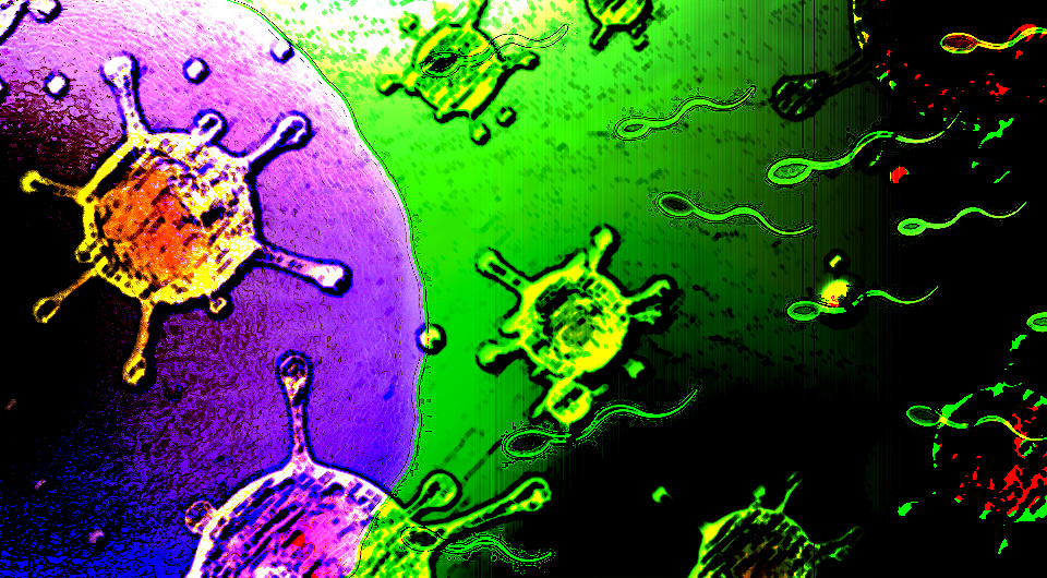   N + 1; Monoar_CGI_Artist / Creazilla / Public Domain; Zappy's / Flickr / CC BY 2.0