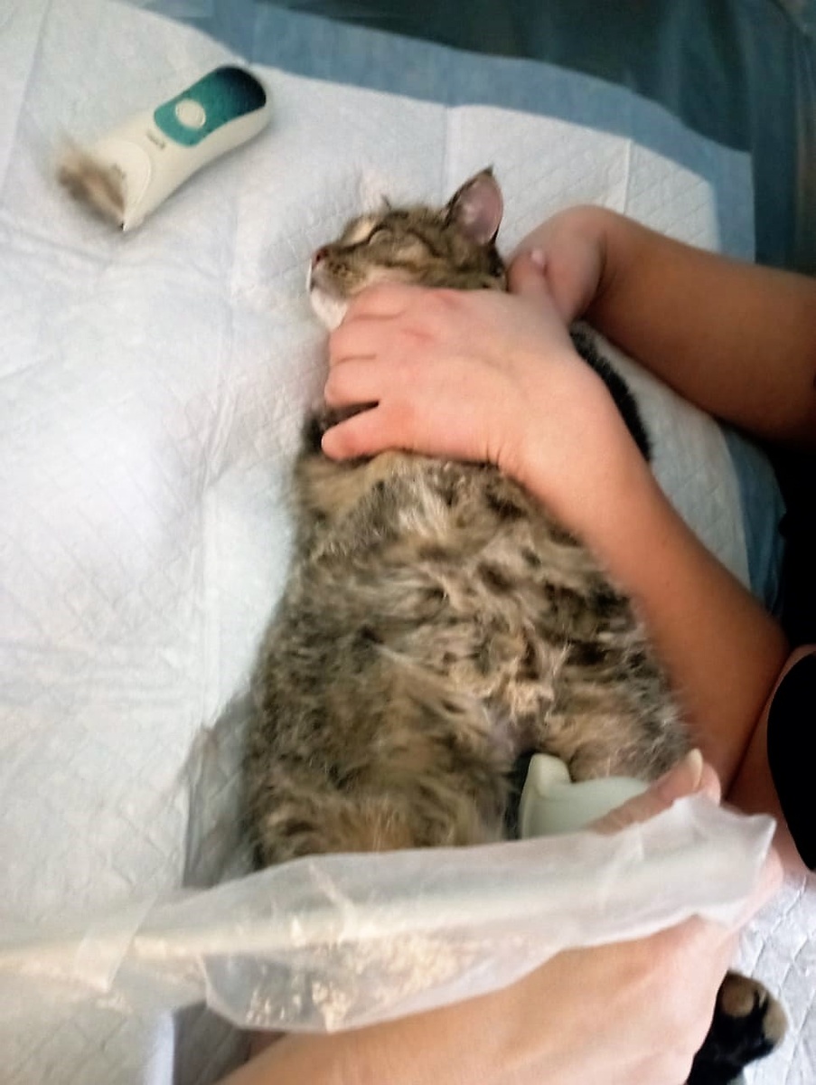 Фото предоставлено Татьяной А.