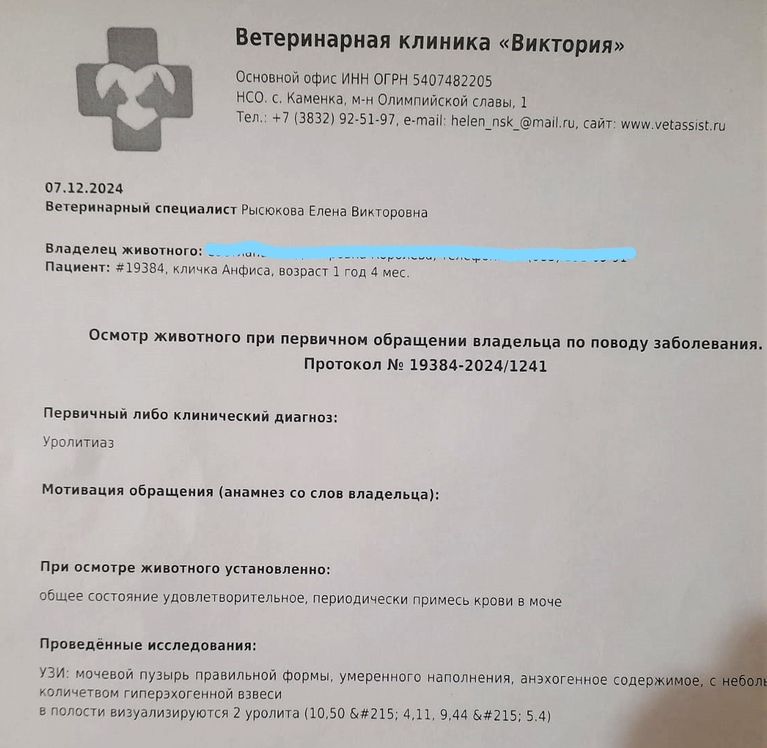 Фото предоставлено Татьяной А.