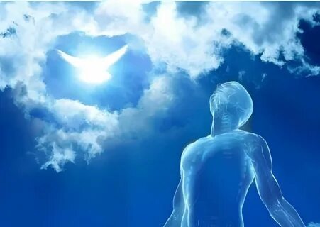 Фото из свободного доступа в интернет 