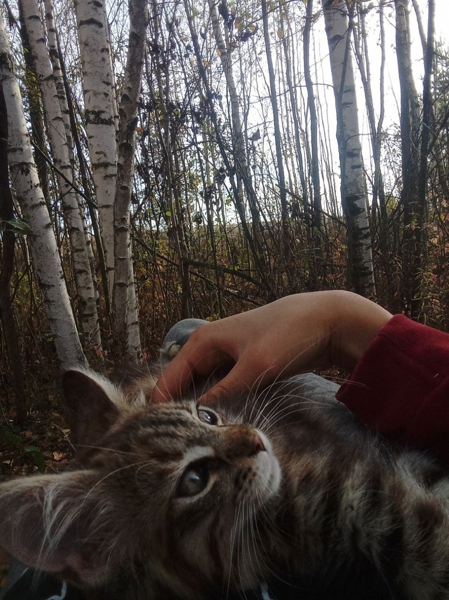 Любительница животных.