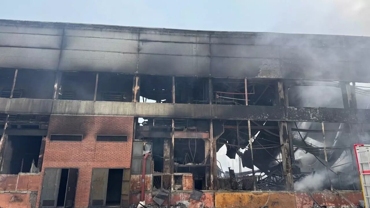     Автор: Артем Васильев Источник: atas.info