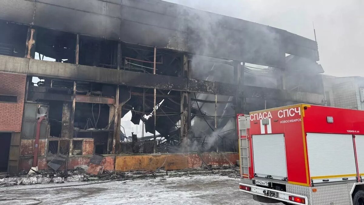     Автор: Артем Васильев Источник: atas.info