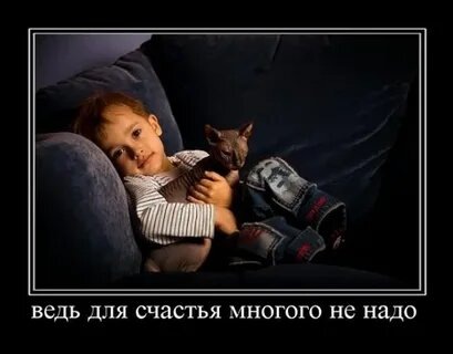 Картина из открытого источника сети Интернет. 