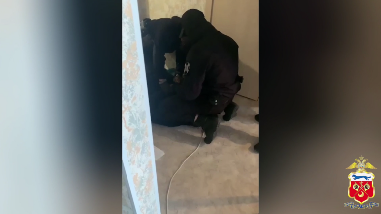    В Оренбурге задержана ОПГ за неправомерный оборот средств платежей Кристина Просвиркина