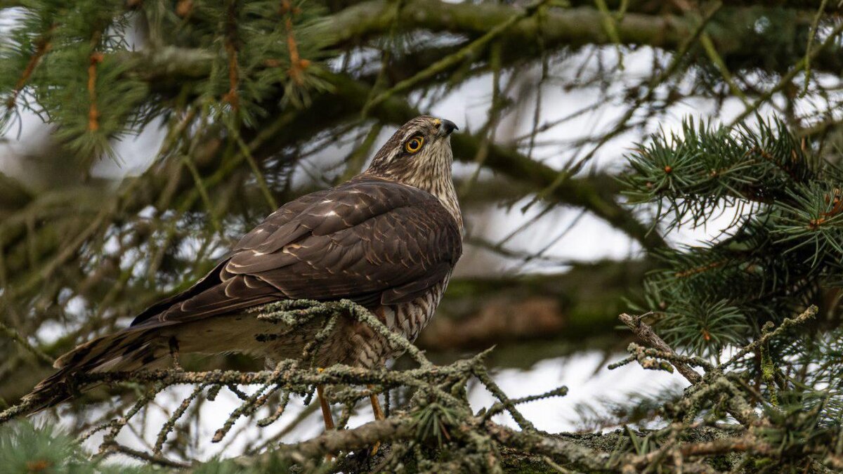    Фото: Руслан Плюснин/t.me/kazdoytvaripopare