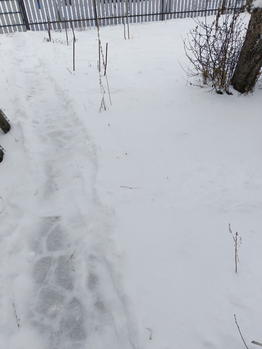 Фото автора.