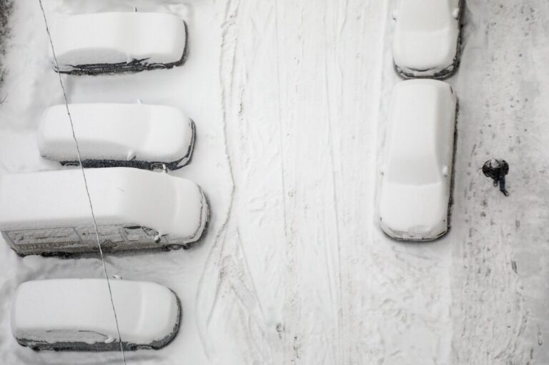    Фото: Агентство «Москва» Анастасия Давыдова