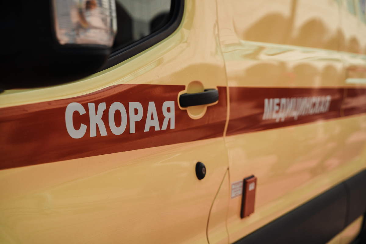 Фото: Леонид Смирнов/РИА Верхневолжье