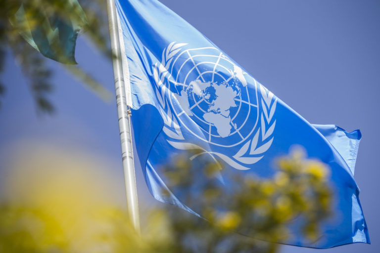    Фото: unaa.org.au Анастасия Мишкина