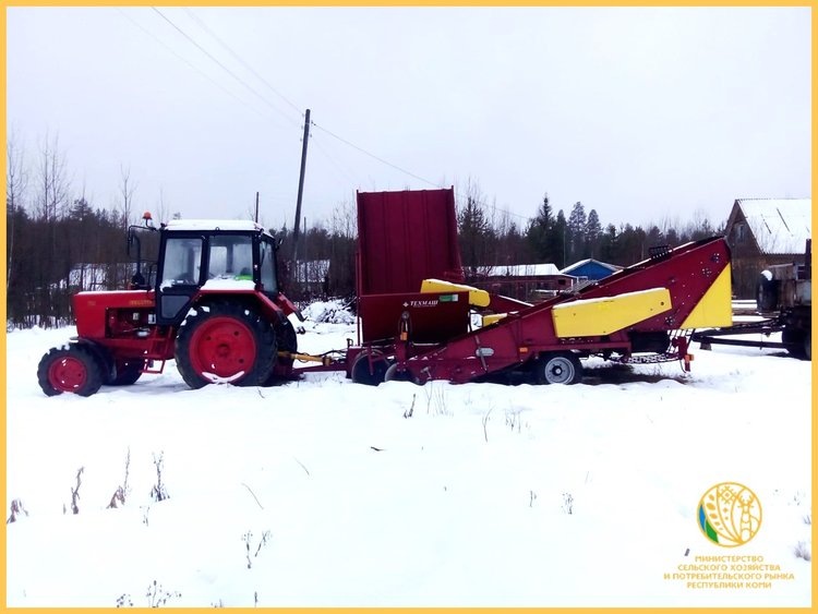    В Коми усилиями фермеров увеличиваются картофельные гектары