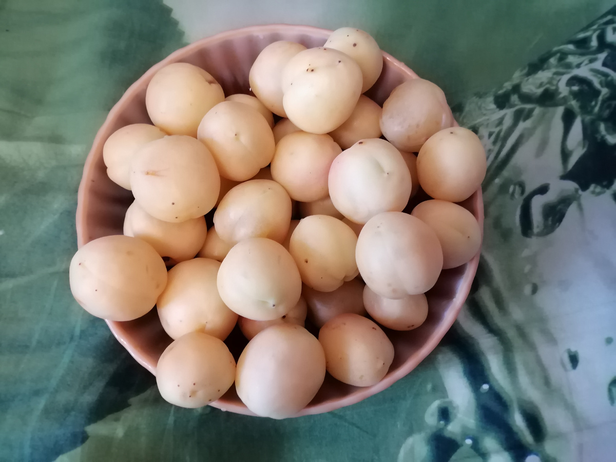 Фото 1. Абрикосовый релакс. Для тех, кто не в теме, объясняю, для чего публикаю фотографии, не связанные с рецептом: так как Женя многие узлы рецептов воспринимает болезненно, закрываю их приятными (как мне кажется) картинками