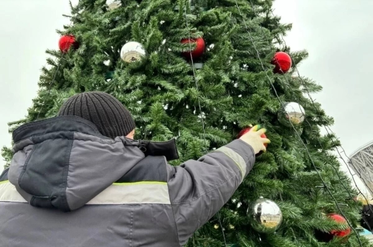    Места для новогодних фотосессий в Волгограде назвали в мэрии