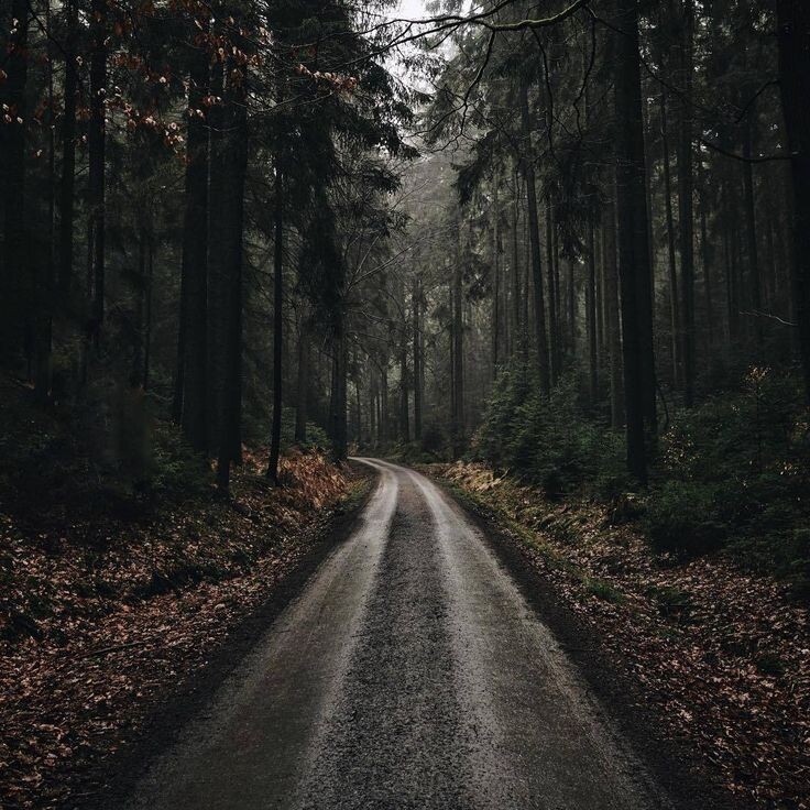 Из открытых интернет источников.