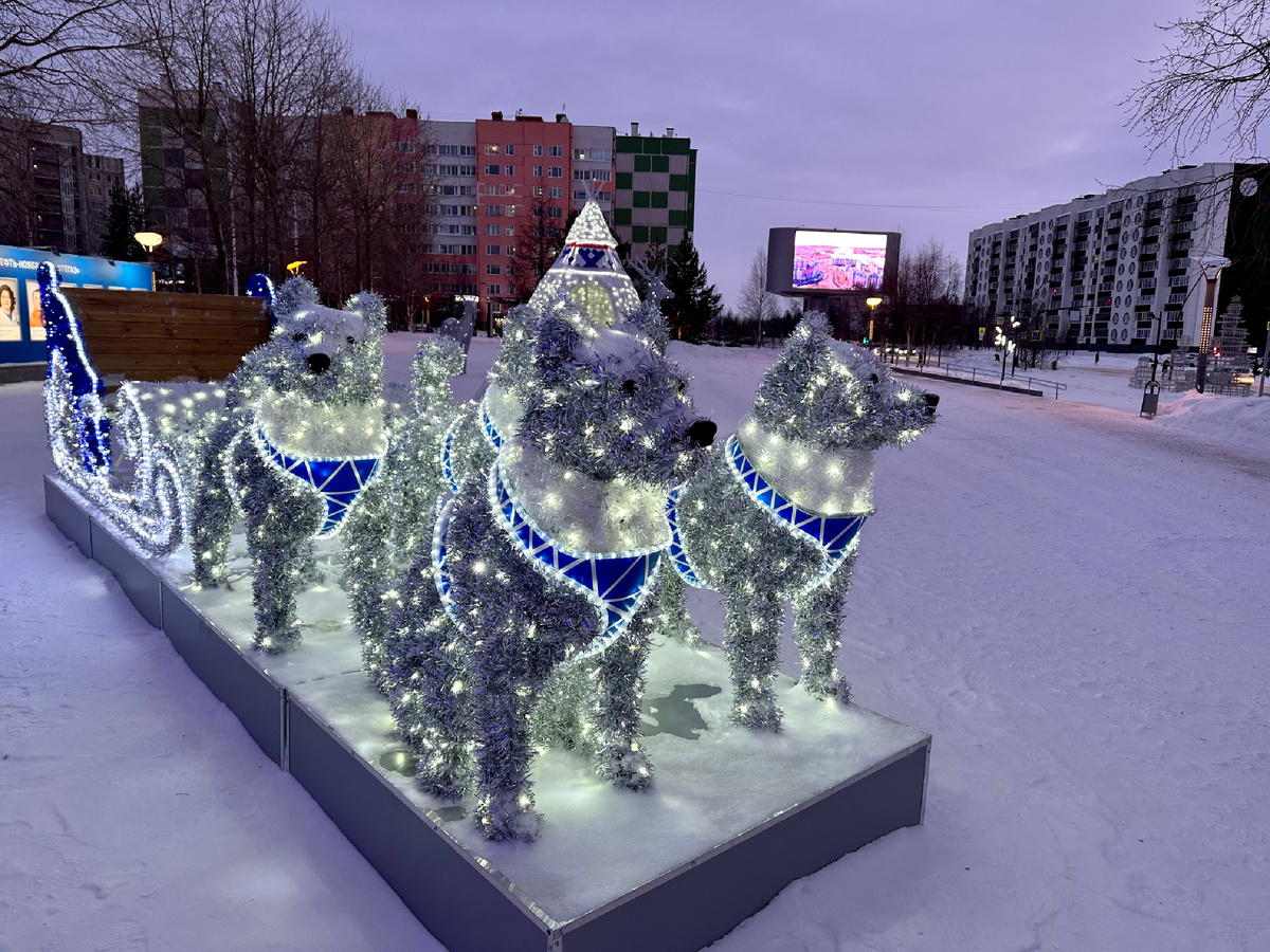 Праздничная упряжка собак.