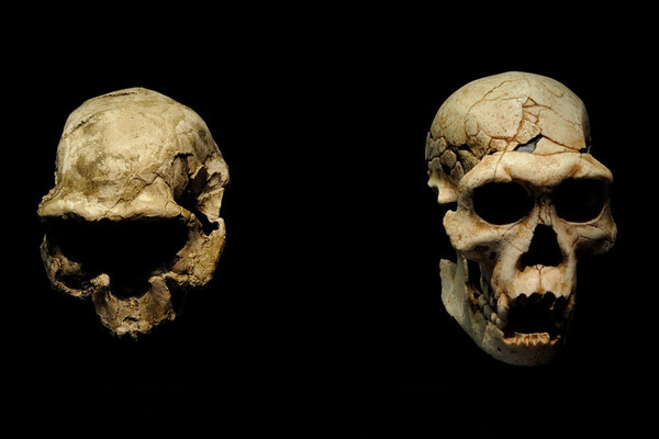 Universal History Archive/Universal Images Group/Getty Images 