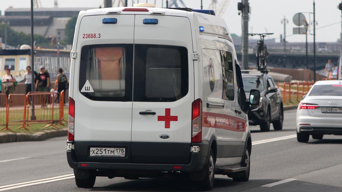    Фото: Maksim Konstantinov/globallookpress.com