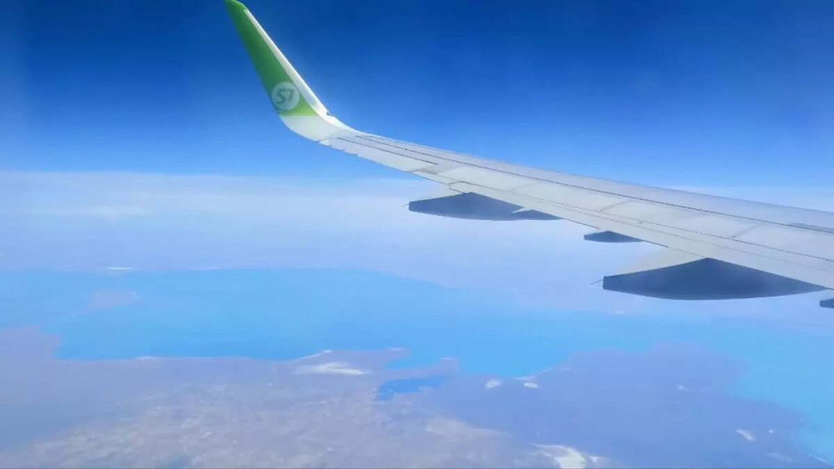     Автор: Алена Рогонова Источник: atas.info