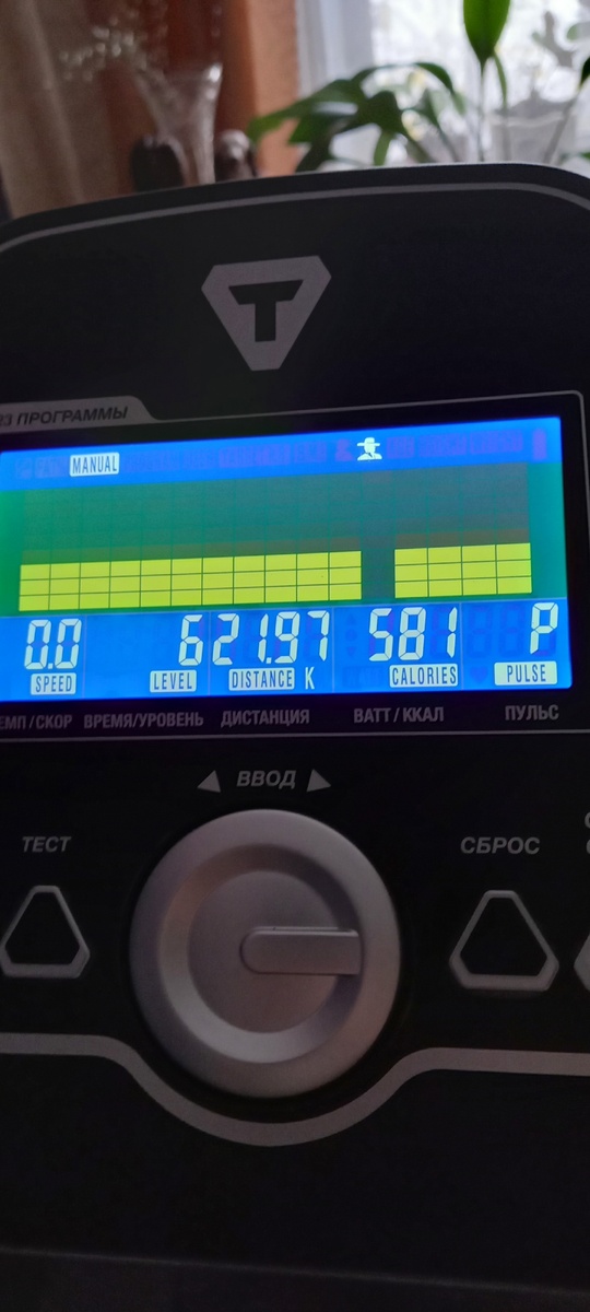 Так воодушевилась погодой, что припала на тренажер и лихо отработала свои вчерашние пряники