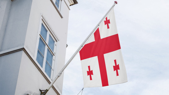    В Тбилиси у здания парламента проходит митинг против выборов президента Алина Городниченко