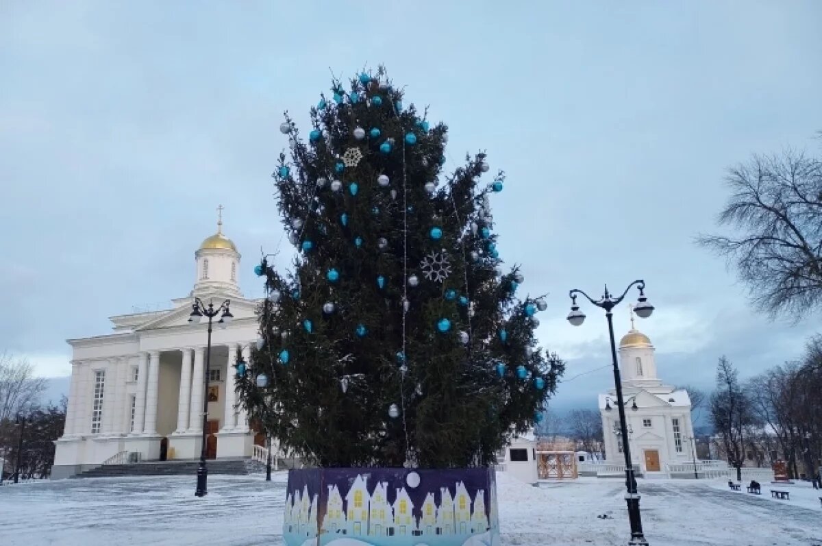    Пензенцы не понимают, куда пошли 350 тыс., выделенные на елку у собора