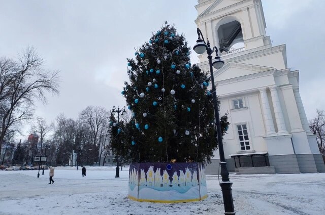    Фото:  АиФ/ Елизавета Миронова