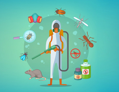 Профессиональное уничтожение клопов в квартире: эффективные методы и советы