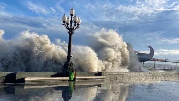    © Telegram-канал главы администрации Ялты Янины Павленко