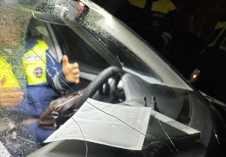    В Оренбурге водитель оскорбил полицейского и разбил стекло служебного автомобиля Оренбуржье