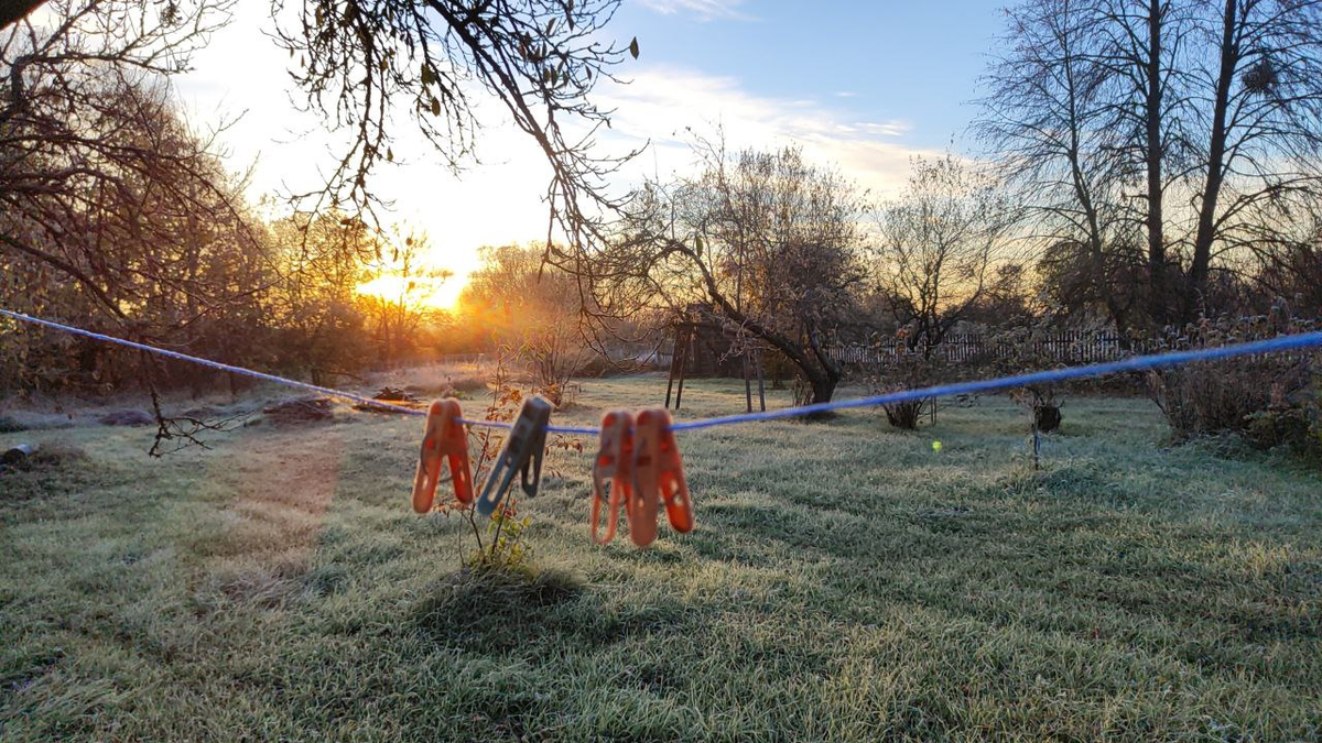 Фото: Мария Морозова