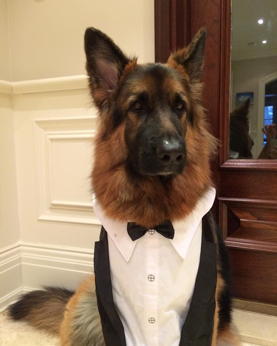 Источник https://i.pinimg.com/originals/3b/1b/f3/3b1bf3249050afca4205e50defa41796.jpg