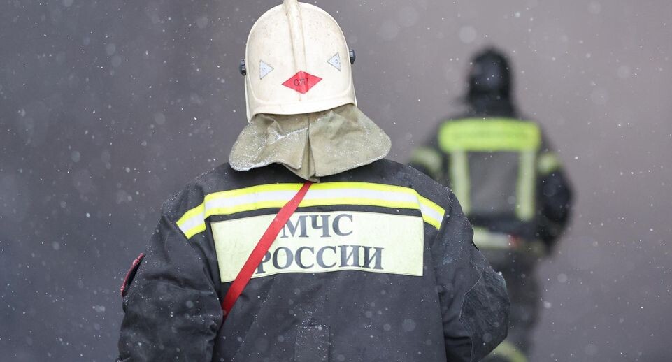    Belkin Alexey/news.ru / Global Look Press