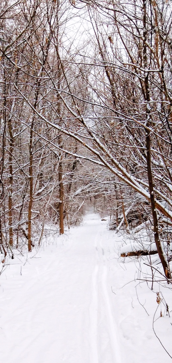 В зимнюю сказку....
